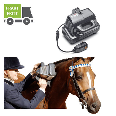 Thumper Massager Inc. - Thumper® Equine Pro -  Pakvis Health